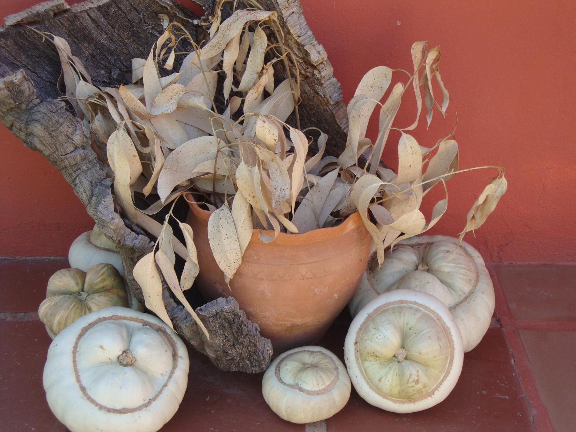 Verdemar Cercal do Alentejo 외부 사진