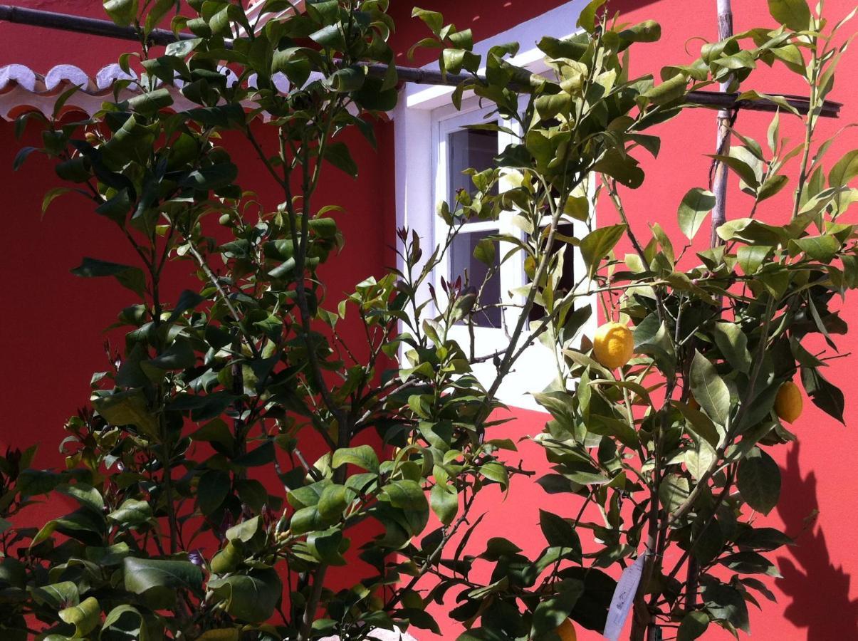 Verdemar Cercal do Alentejo 외부 사진